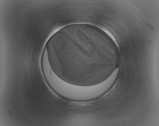 X0000116481197200912292040