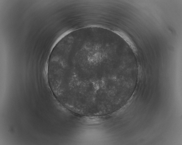 X0000116481198200912292040