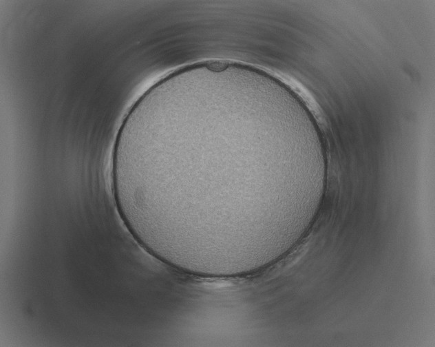 X0000116481199200912292040