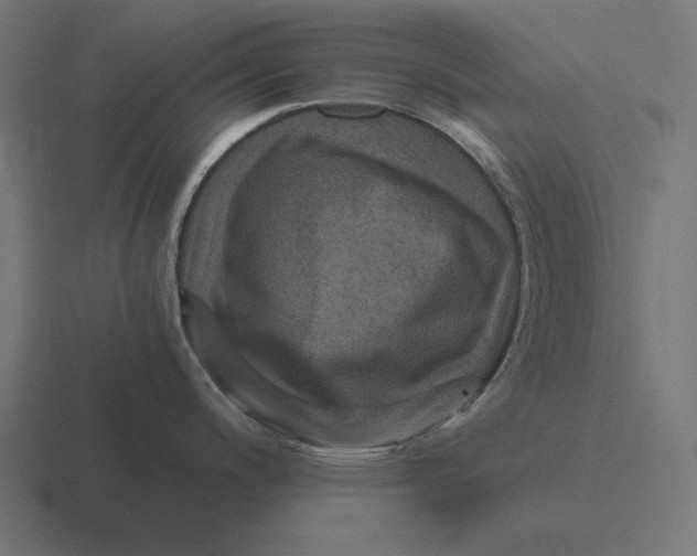 X0000116481200200912292040