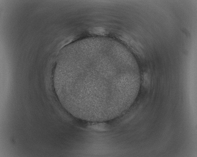 X0000116481201200912292039