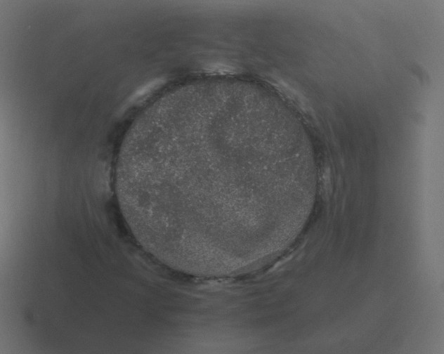 X0000116481205200912292039