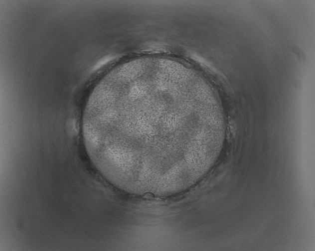 X0000116481206200912292039