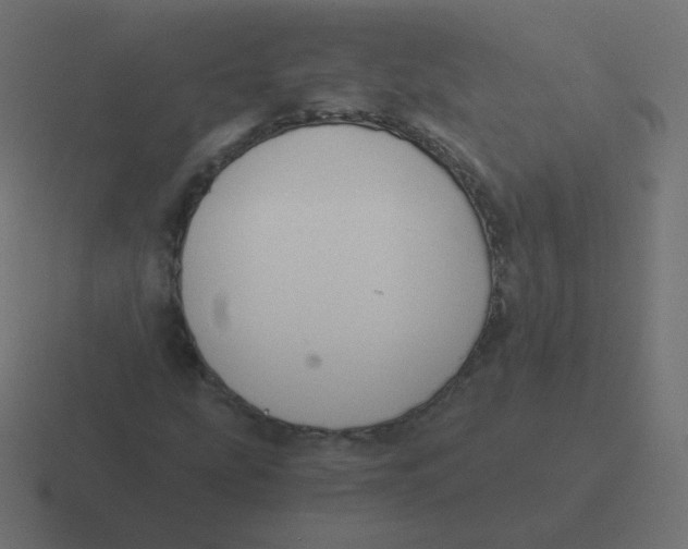 X0000116481207200912292039