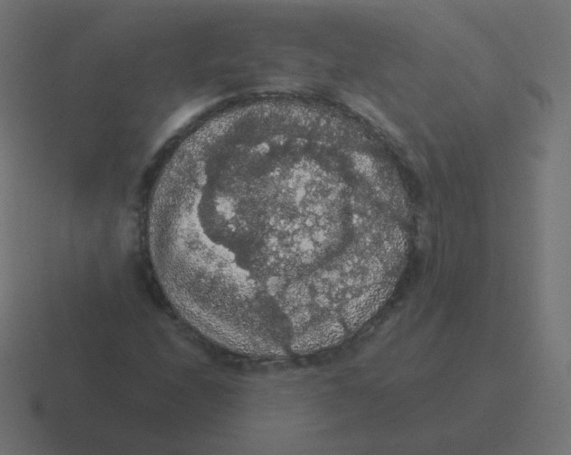 X0000116481208200912292039