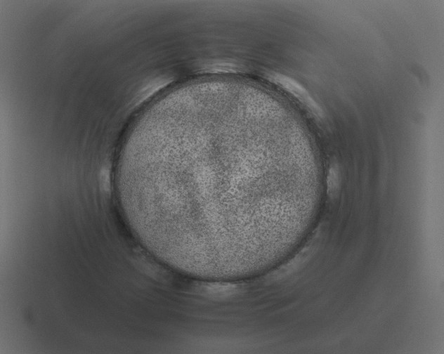 X0000116481209200912292039