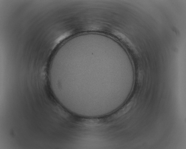 X0000116481210200912292039