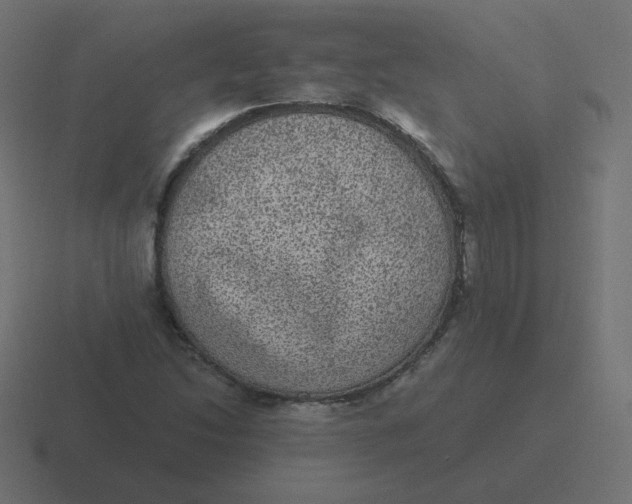 X0000116481214200912292039