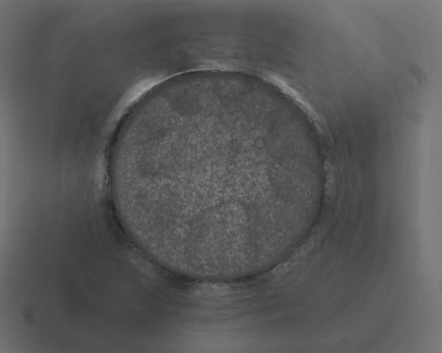 X0000116481215200912292039