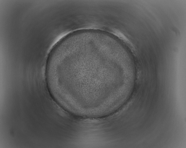 X0000116481216200912292039