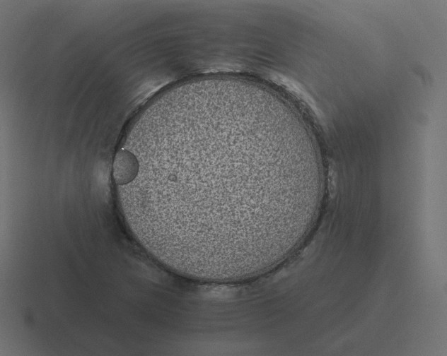 X0000116481217200912292039