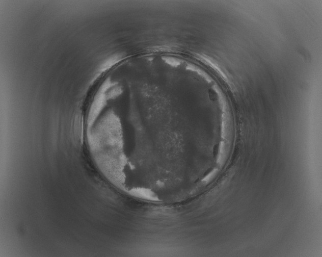 X0000116481219200912292039