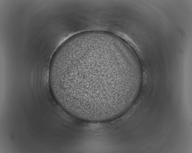 X0000116481220200912292039