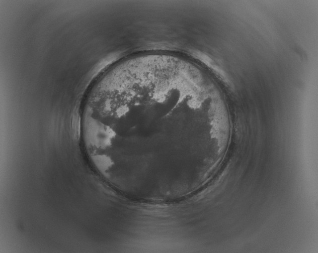 X0000116481221200912292039