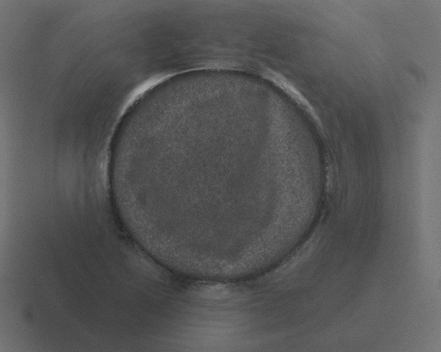 X0000116481222200912292039