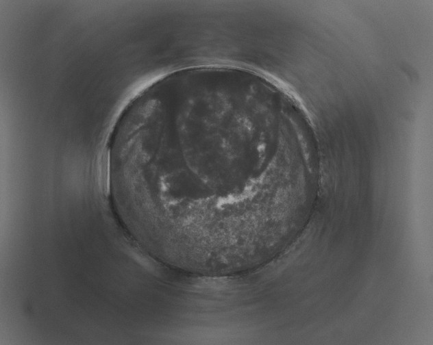 X0000116481223200912292039