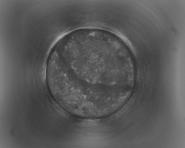 X0000116481224200912292039