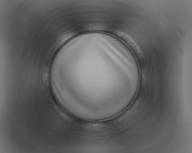 X0000116481225200912292039