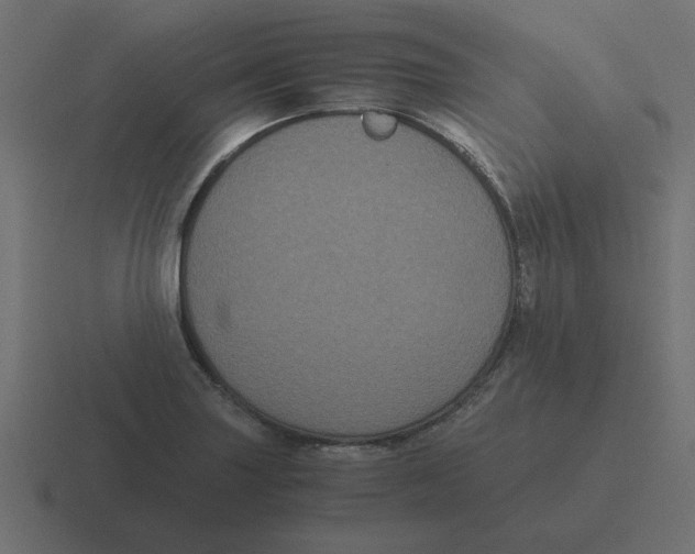 X0000116481227200912292039