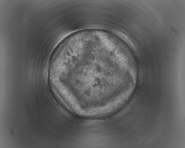 X0000116481228200912292040