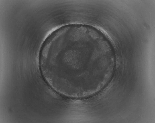 X0000116481230200912292040