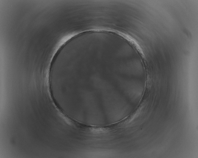 X0000116481231200912292040