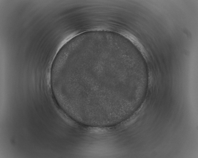 X0000116481234200912292040