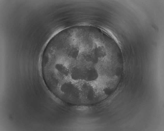 X0000116481235200912292040