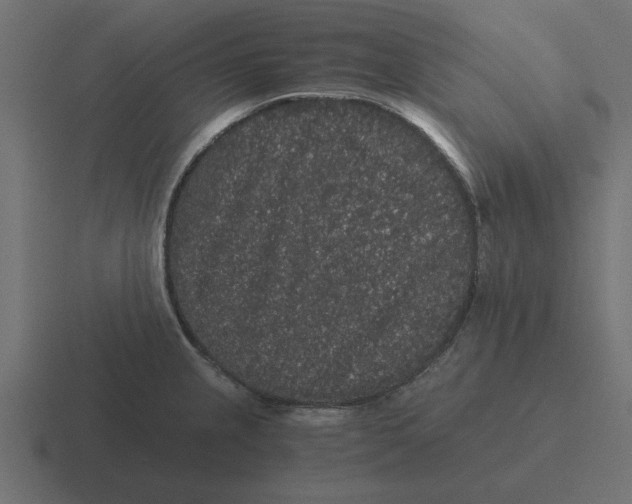 X0000116481237200912292040