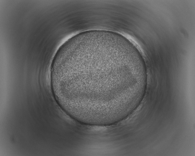 X0000116481238200912292040