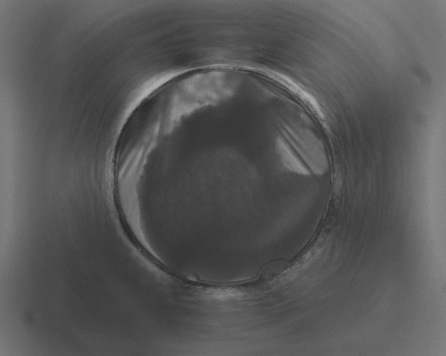 X0000116481239200912292040