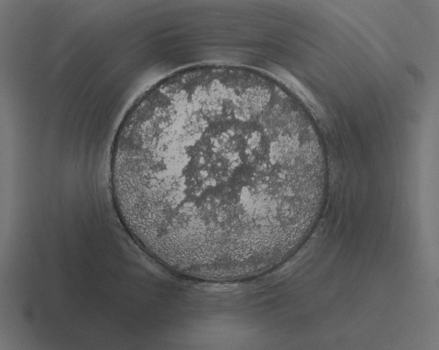 X0000116481240200912292040