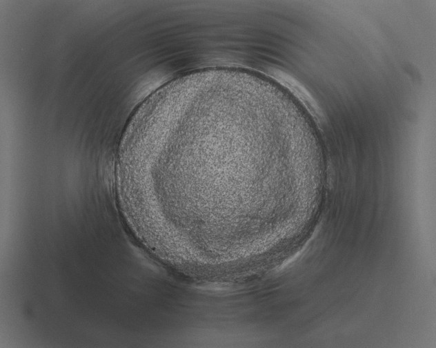 X0000116481241200912292040