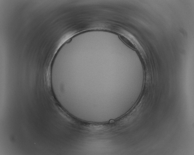 X0000116481242200912292040