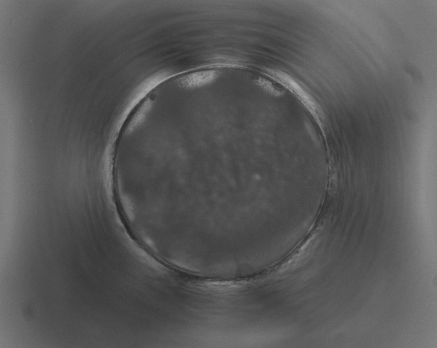 X0000116481243200912292040