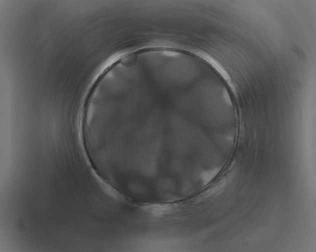 X0000116481245200912292040