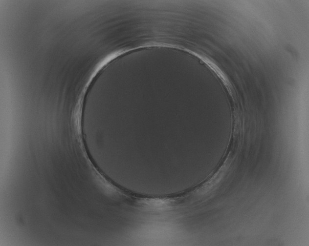 X0000116481246200912292040