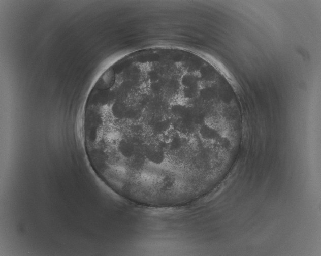 X0000116481247200912292040