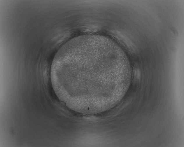 X0000116481250200912292039