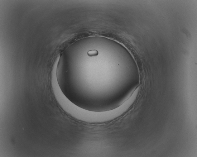 X0000116481253200912292039