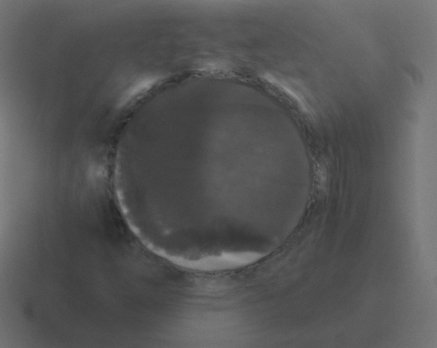 X0000116481254200912292039