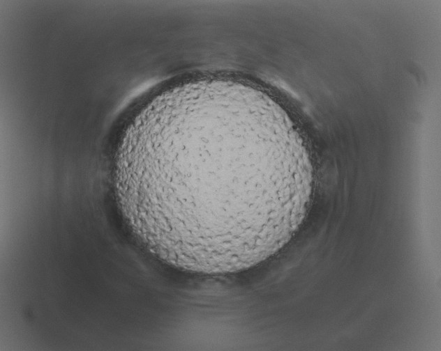 X0000116481255200912292039