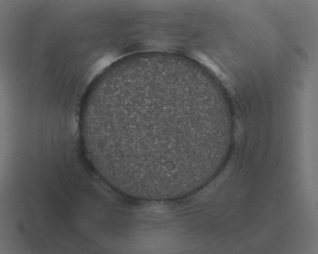 X0000116481259200912292039