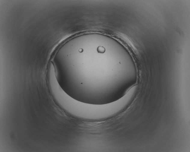 X0000116481260200912292039