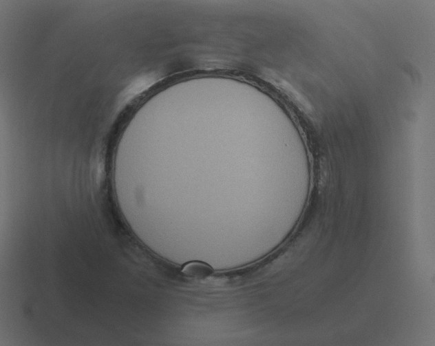 X0000116481261200912292039