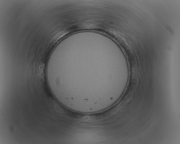 X0000116481265200912292039