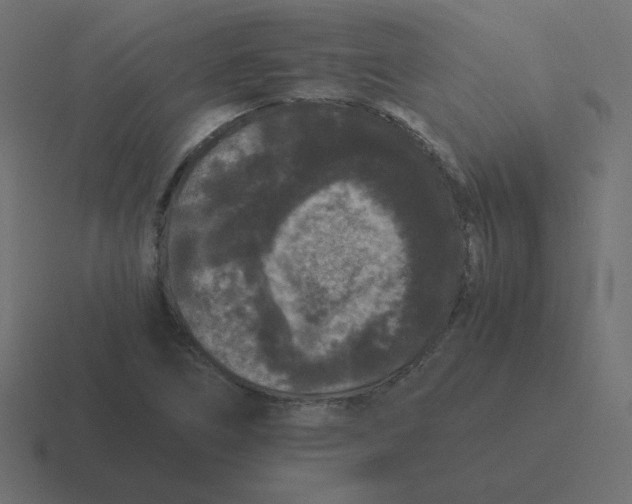 X0000116481266200912292039