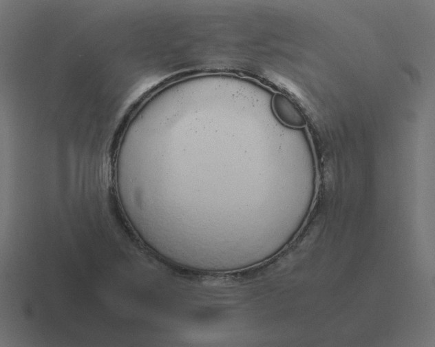 X0000116481267200912292039