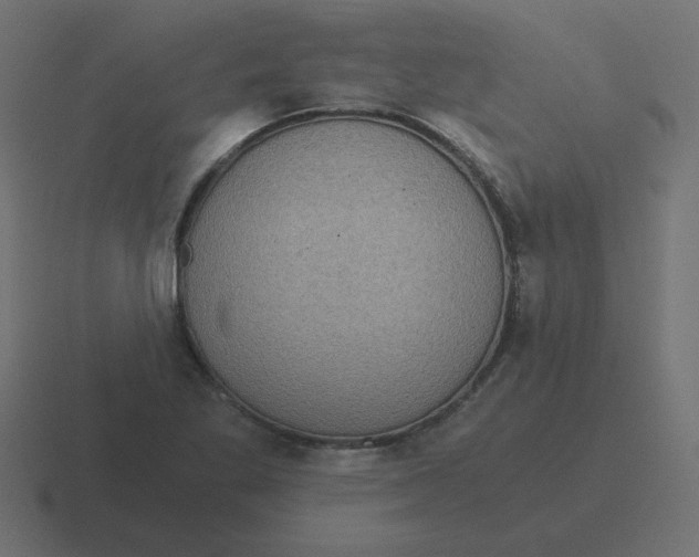 X0000116481269200912292039