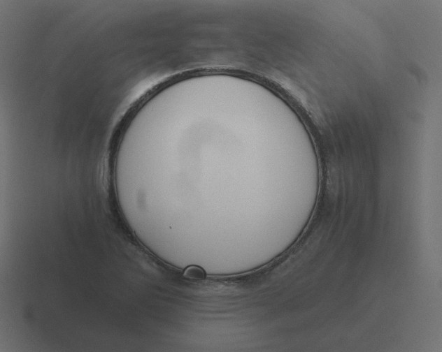 X0000116481270200912292039